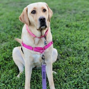 Meet your Posher, Scott